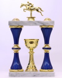 Idealsport_trofea_08